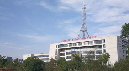 安徽電子信息職業(yè)技術(shù)學(xué)院2019年分類考試招生章程