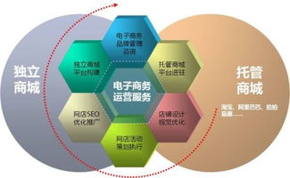 全程電子商務(wù)的分類