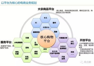 智慧電商 電子商務(wù)公共服務(wù)平臺建設(shè)方案 ppt